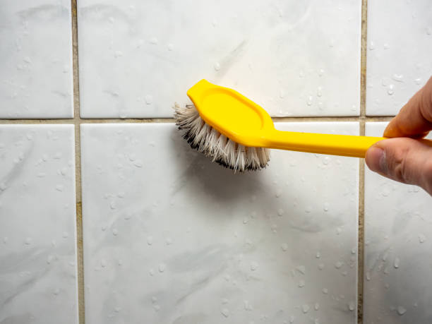 Best Mold Damage Repair  in Womelsdorf, PA