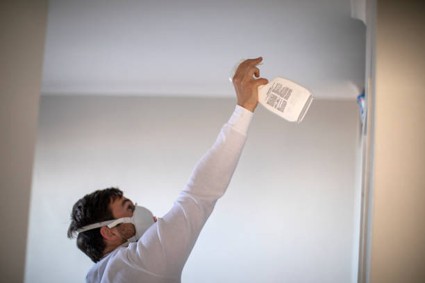 Best Black Mold Removal  in Womelsdorf, PA
