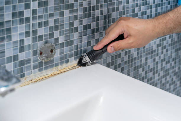 Best Emergency Mold Removal  in Womelsdorf, PA